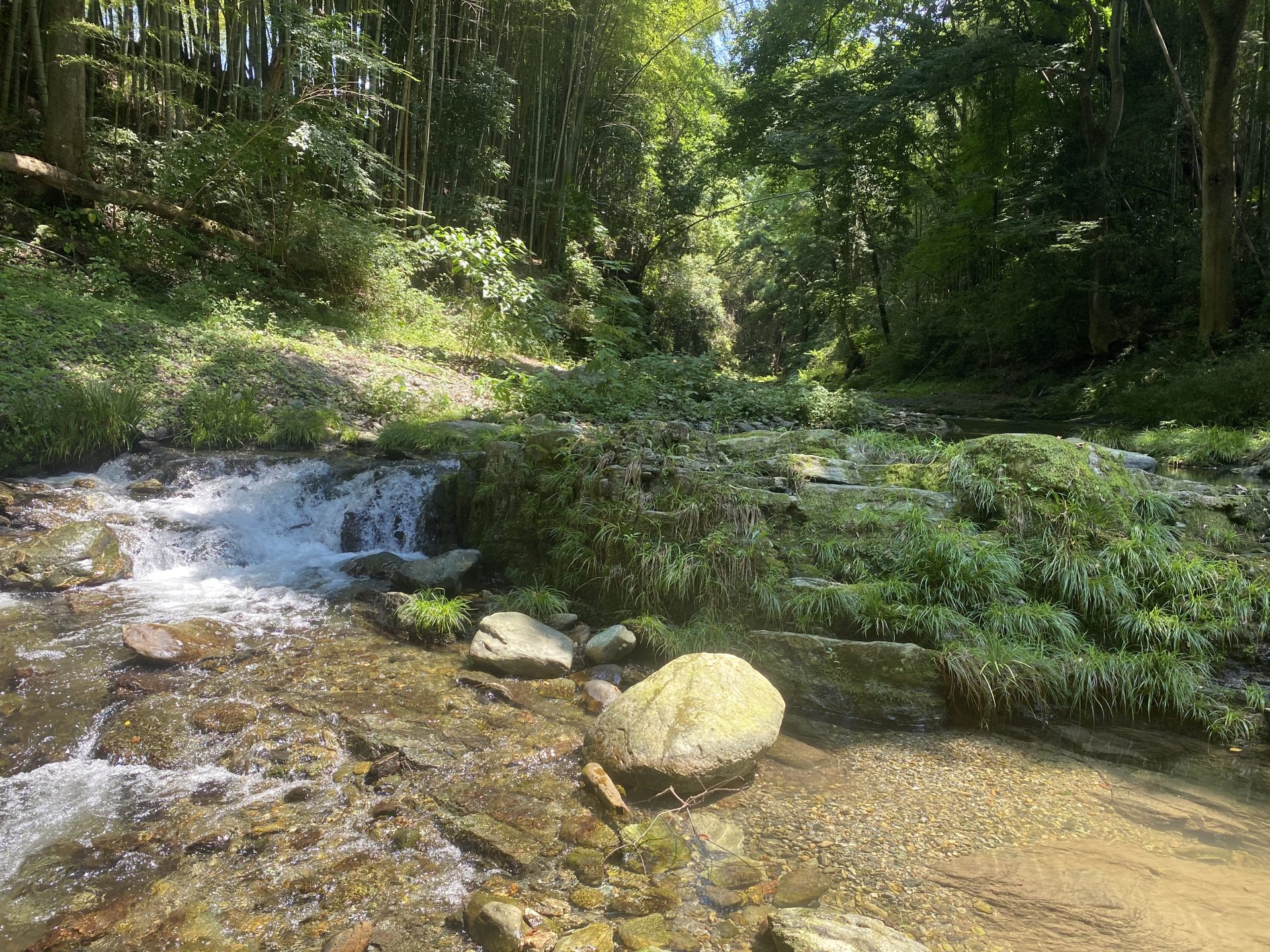 晴れた日の三沢川