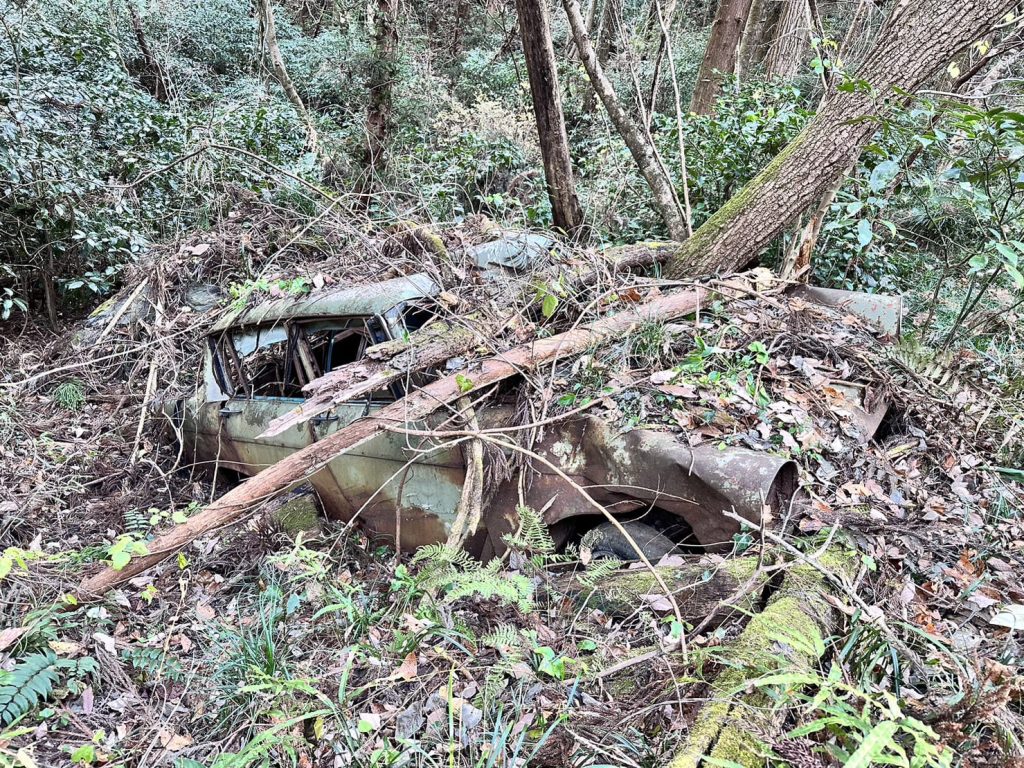 山中にある木々、葉っぱに埋もれてる朽ち果てた車