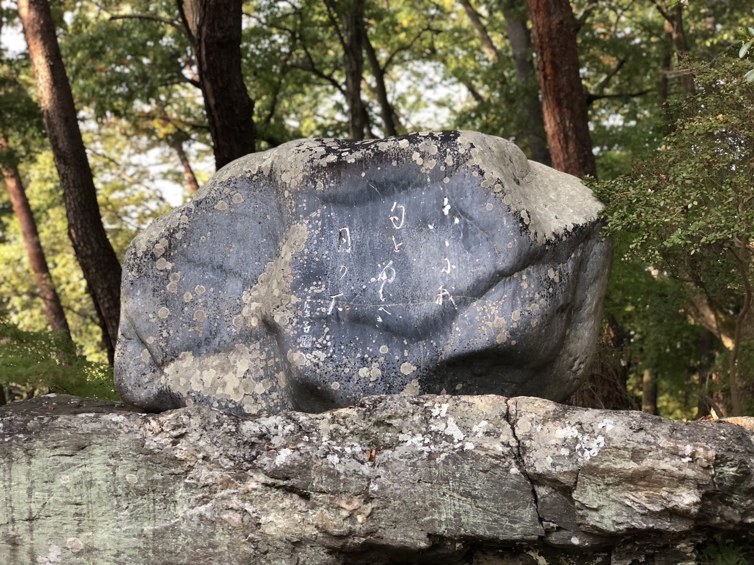 月の石紅葉公園の高浜虚子の句碑