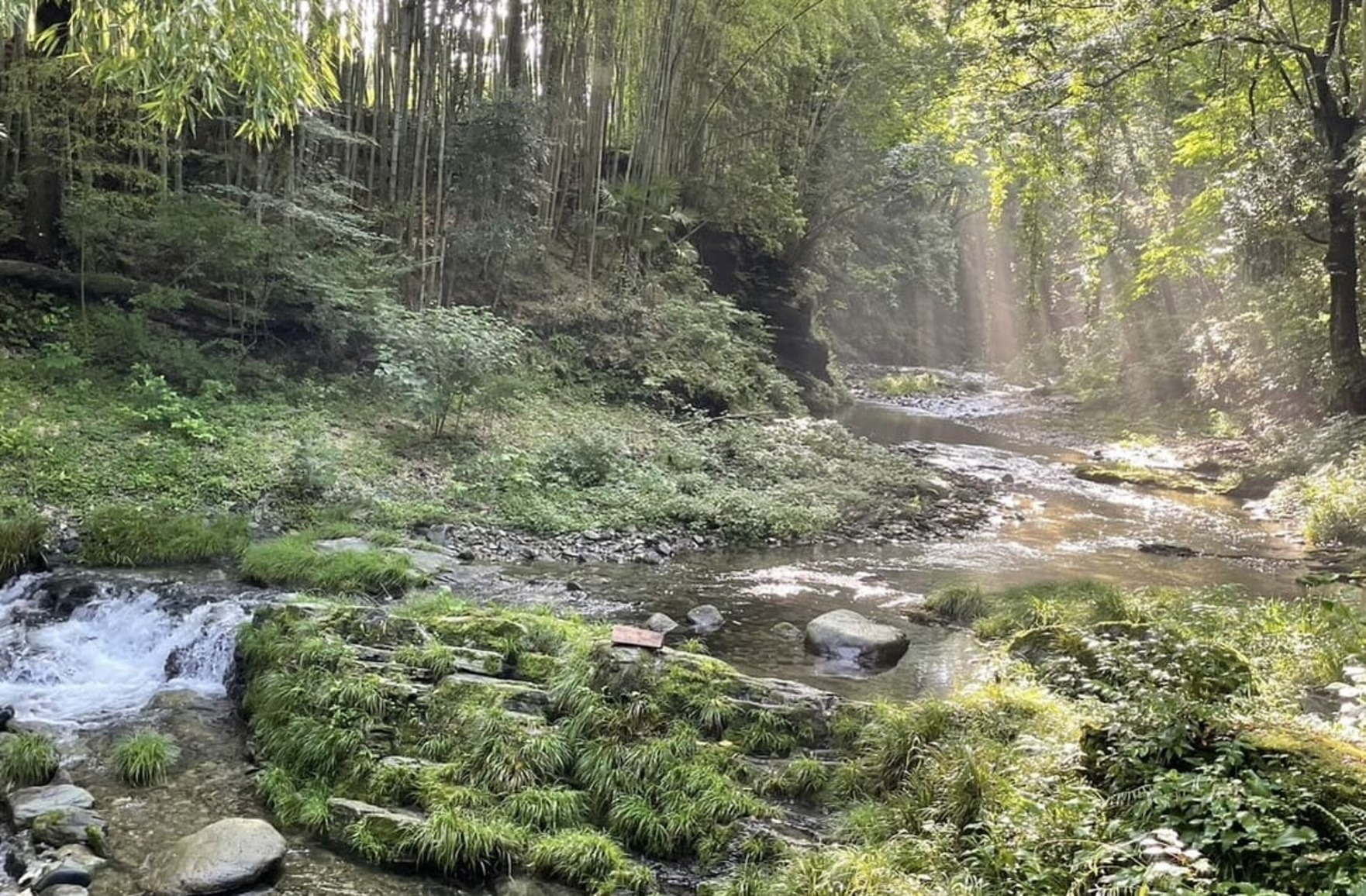 朝の三沢川